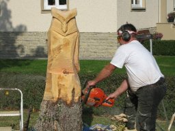 Eine Eule Sägen