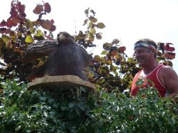 Eulen und Adler