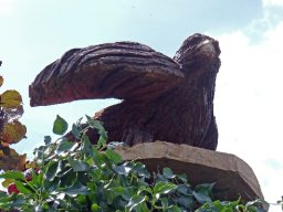Eulen und Adler
