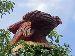 Eulen und Adler