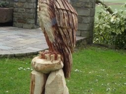 Eulen und Adler