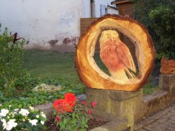 Eulen und Adler
