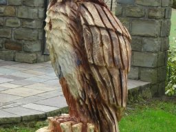 Eulen und Adler