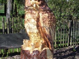 Eulen und Adler