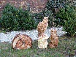 Eulen und Adler