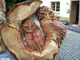 Eulen und Adler
