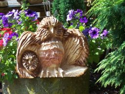 Eulen und Adler