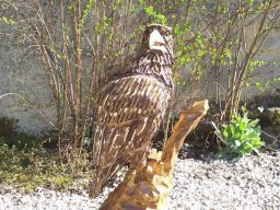 Eulen und Adler