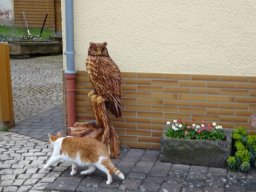 Eulen und Adler