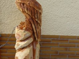 Eulen und Adler