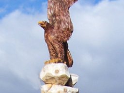 Eulen und Adler