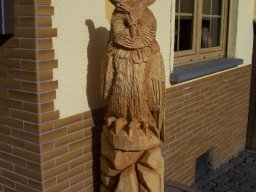 Eulen und Adler
