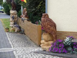 Eulen und Adler