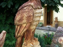 Eulen und Adler