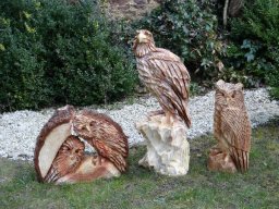 Eulen und Adler