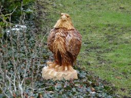 Eulen und Adler