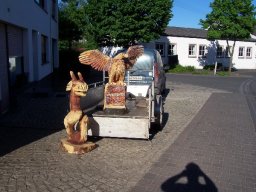Eulen und Adler