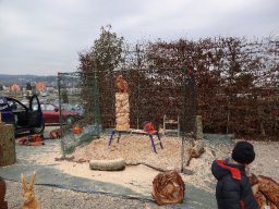 Eulen und Adler