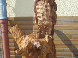 Eulen und Adler