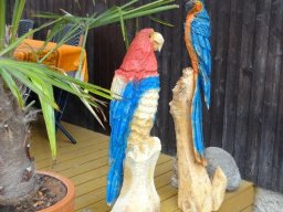 Eulen und Adler