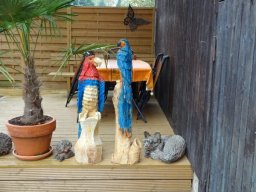 Eulen und Adler