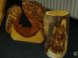 Eulen und Adler