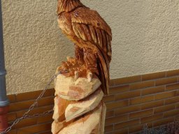 Eulen und Adler