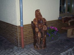 Eulen und Adler