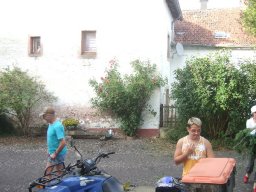 Baumfällung